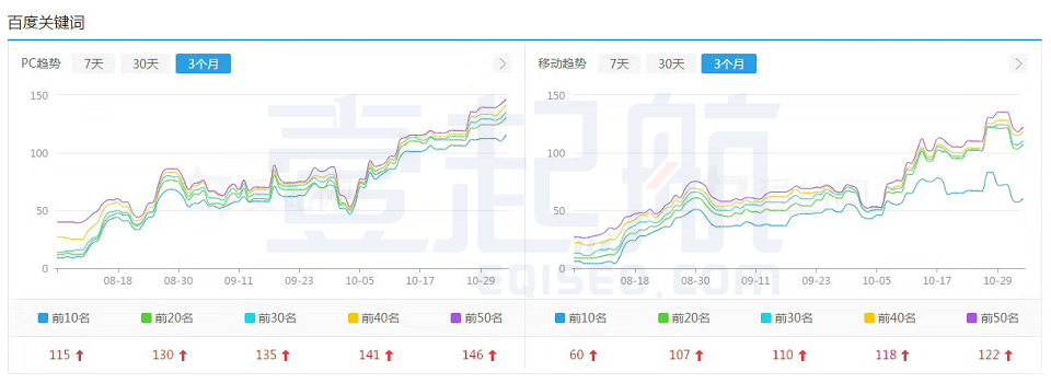 网站SEO